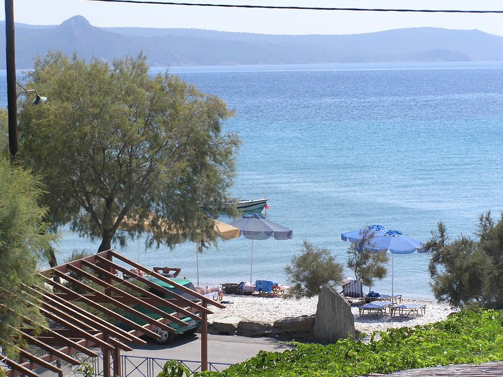 Oasis Studios Псили-Аммос Номер фото