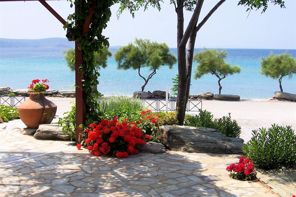 Oasis Studios Псили-Аммос Номер фото